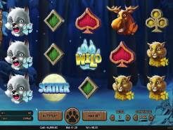 Wolf Cub